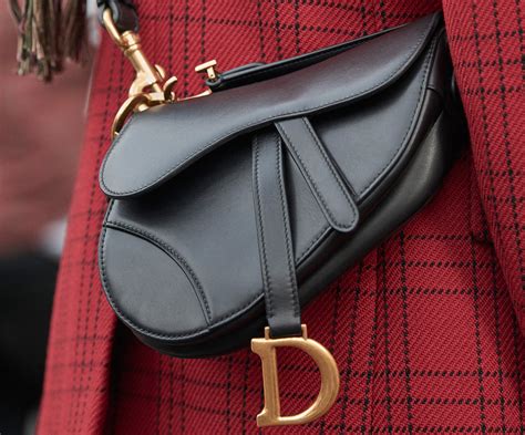 lady dior vs saddle bag|dior saddle bag cost.